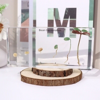 Produit phare : Bloc de résine de taxidermie avec plantes réelles, spécimen en acrylique, jouets éducatifs pour l'enseignement
