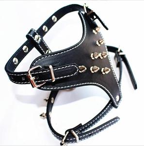 Fabriek Outlet Hot Sale Anti-Bite Klinknagelbescherming Intrekbare Hondenriem Kraag - Product Image 1