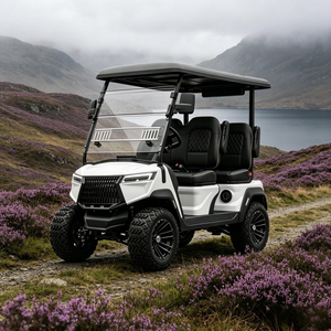 Vehículo Eléctrico de Baja Vibración, Carro de Golf, Buggy de Golf, Suspensión de Doble Horquilla para Uso en Carreteras No Públicas, DOT CE EEC - Product Image 1