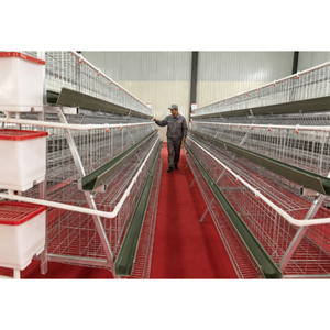 Système de cages automatiques <span class=keywords><strong>pour</strong></span> poules pondeuses de type A de haute qualité, équipement d'élevage avicole, cages à poulets en batterie galvanisées à chaud - Product Image 1
