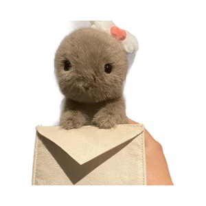 Jellycats British JE Cute <span class=keywords><strong>Messenger</strong></span> Rabbit Doll Postman Envelope Love Letter Bugs Bunny Plush Toy pp Cotton Valentine's Day - Product Image 5