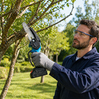 Mini tronçonneuse sans fil 21V, vente en gros, tronçonneuse électrique portable à batterie pour l'élagage du jardin et la coupe du bois