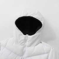 Produits d'hiver personnalisés 2023, vêtements pour hommes, coupe-vent à capuche, veste en polyester, doudounes pour hommes