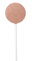 Friandises lyophilisées pour chats en forme de sucettes, 25 bâtonnets/boîte en papier, friandises pour chats en vrac avec matériaux promotionnels gratuits