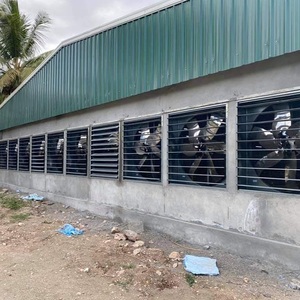 Giá rẻ prefab Kết Cấu Thép gia cầm trang trại đổ gà trang trại nhà xây dựng - Product Image 3