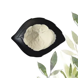 Wholesale Natural Poria Cocos Powder Leaf Poria Cocos Extract