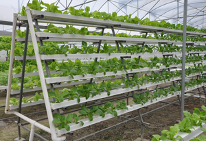 Canal hydroponique NFT en PVC de qualité alimentaire monocouche de grande taille 120x90 mm <span class=keywords><strong>pour</strong></span> la laitue, le céleri, le poireau, la moutarde - Product Image 3