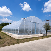 Serre de haute qualité à double couche, grande taille, à simple travée, pour tomates, fruits et fleurs, à vendre