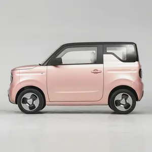 GEELY Panda mini 2023 EV Car 120km 200km gamma di crociera veicoli di nuova energia 0KM mini auto elettrica usata per adulti geely panda - Product Image 4