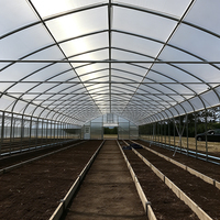 Serre agricole à tunnel haut, structure en acier galvanisé, film plastique écologique, serre pour la culture de tomates/laitues/piments