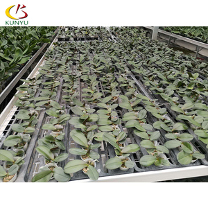 Büyük standart ısı koruma orkide çiçekler gölgeleme ağları ile güneş geçirmez vinil sera dikim - Product Image 5