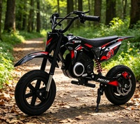 Moto électrique tout-terrain pour enfants YT avec effets lumineux et sonores, 200W 24V, 3 vitesses réglables, vitesse maximale de 20 km/h
