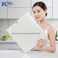 Panneau alvéolaire en aluminium moderne ignifuge laminé PVC 9-40mm, prix usine, sur mesure, avec classe d'incendie A2 pour murs intérieurs