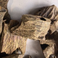 Eco1201 Hainan/Guangdong/Bois d'Agar/Oud en copeaux 3A pour Arbre à Feuilles de Sable Doré Huileux, aux notes fruitées, florales, douces, épicées et fraîches