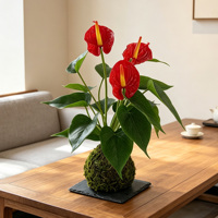 Vente en gros : Anthurium artificiel rouge à toucher réel, Kokedama, boule de mousse, bonsaï, fausse plaque d'anthurium pour la décoration de la maison, du bureau et du bureau de travail