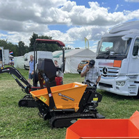 Kostenloser Versand Garten- und Hof-Raupendumper mit Hubfunktion – 1 Tonne, kleiner Kettendumper, 500 kg, 1000 kg Minidumper