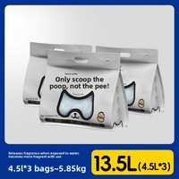 Litter Kucing Kristal Ramah Lingkungan Biodegradable Berkualitas Tinggi Grosir 4.5L Granular Rendah Debu Penghilang Bau Bakteriostatik