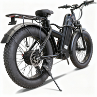 Moto électrique pliable Paige 48V haute vitesse 800W pour adulte, personnalisable, directement du fabricant