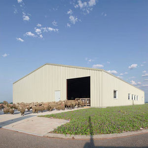 Hoge Kwaliteit Q355b Prefab Stalen Structuur Magazijn Gebouw Aangepast Voor Fabriek, Logistiek En Agrarische Opslag - Product Image 3