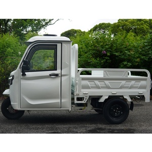 Entrepôt en Allemagne Tricycles Électriques de Fret avec Cabine Fermée et Chargement Semi-Haut Camion <span class=keywords><strong>Moto</strong></span> Cargo avec DDP - Product Image 1