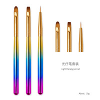 Approvisionnement d'usine 3 pièces/ensemble le plus récent Kit de brosse d'art d'ongle poignée colorée Nylon cheveux peinture ligne stylo fleur crochet stylo pour Gel manucure
