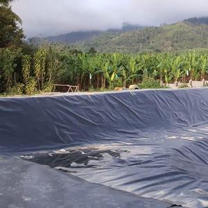 โรงงานผลิตแผ่นรองบ่อ HDPE หนา 1.00 มม. พร้อมใบรับรอง ASTM GRI GM13 แผ่นจีโอเมมเบรนสำหรับงานหนักสำหรับอ่างเก็บน้ำเพื่อการชลประทาน - Product Image 4