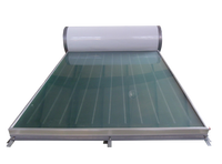 Système de chauffage de panneau d'eau chaude solaire collecteur pénal plat de secours électrique divisé
