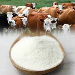 Großhandel Typ I Rinder-Kollagen Hydrolysiertes Pulver für Erwachsene - Halal-Zertifiziertes Immunsystem-Unterstützungs-Nahrungsergänzungsmittel - Product Image 2