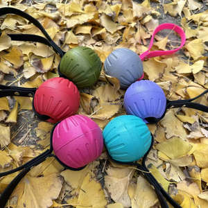 2026 Fabrika Sıcak Satışlı EVA Köpek Topu, Pürüzsüz <span class=keywords><strong>PVC</strong></span> İpli, Etkileşimli, Çevre Dostu Köpek Çiğneme Oyuncağı, Günlük Dış Mekan Eğitimi İçin - Product Image 2