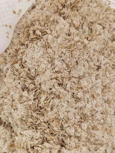 Paulownia <span class=keywords><strong>hybride</strong></span> de haute qualité, nouvelle récolte, variété 9501, espèces à vendre - Product Image 4