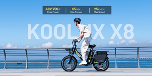 Bicicleta Eléctrica X8 NFC 20X4.0 Pulgadas, 48V 35+30AH, Batería Doble, Motor sin Escobillas de 750W, Frenos de Disco Hidráulicos, Alcance de 180-220KM, X8 X8 - Product Image 2