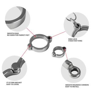 Selling Beste Hoge Kwaliteit Huisdier Vogels Vliegende Training Leash Ring Clips Rvs Vogel Opening Voet Ringen Clips Op Verkoop - Product Image 6