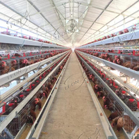 Système de cages à volaille automatique de type A bon marché pour l'élevage de poules pondeuses en métal et en acier pour poules pondeuses dans des poulaillers