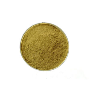 Oem/ODM bán buôn hương thảo tự nhiên chiết xuất bột 98% 5% rosmarinic axit Hương Thảo Chiết Xuất - Product Image 1