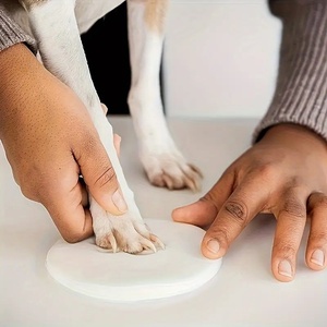 Accessorio unico con stampa zampa ricordo per cani e gatti custodire la memoria del tuo animale domestico con questo prezzo competitivo cofanetto e urna - Product Image 5