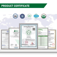 Poudre de Curcumine de Curcuma Pur en Vrac 5% 10% 18% 50% 95% Curcumine Hydrosoluble HPLC Extrait de Racine de Curcuma en Poudre CAS 458-37-7