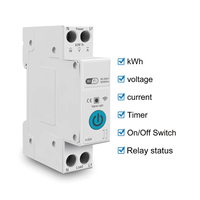 Disjoncteur intelligent WiFi Tuya 63A 2P sur rail DIN avec compteur d'énergie et protection contre les surtensions/sous-tensions à commande à distance