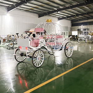 Usine de chariots de <span class=keywords><strong>mariage</strong></span> : Chariot de Cendrillon électrique en forme de citrouille à vendre - Product Image 6