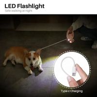 2024 Laisse de chien rétractable avec logo personnalisé Flash LED lumineux Laisse de chien automatique et durable avec support de sac à crottes