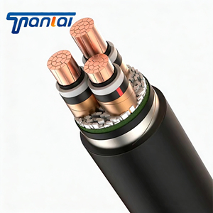 สายไฟฟ้าแรงสูง FY-YJV22 87/15kV ป้อง<span class=keywords><strong>กัน</strong></span>แมลง ป้อง<span class=keywords><strong>กัน</strong></span>ไฟลุก ทนไฟ แบบตีเกลียว 3 แกน ตัวนำอะลูมิเนียม หุ้มเหล็ก - Product Image 1