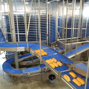 Alle Soorten Industriële Transportsystemen | Band/Rol/Ketting/Schroef/Spiraal/Voedselkwaliteit Transportbanden - Product Image 1