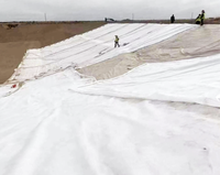 Tissu géotextile en PP tissé à haute résistance pour le renforcement routier et la protection des côtes contre les vagues