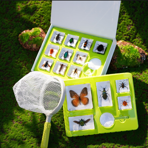 Espécimen de Insecto en Taxidermia, Espécimen en Resina, Insectos en Taxidermia en Resina, Taxidermia de Insectos, Set de Regalo de Animales Reales - Product Image 5