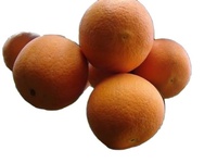 Verse sinaasappels groothandelsprijs import export fruit China oorsprong grote maat zoet pitloos premium kwaliteit leverancier