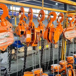 3 Metre Kaldırma Yüksekliğine Sahip Zincirli Vinç 1 Ton 2 Ton Zincirli Vinç Fiyatı 10 Ton Zincirli Blok - Product Image 1