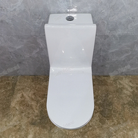 Ensemble WC monobloc en céramique pour salle de bain, design Dragon Doré, avec chasse d'eau, siphon en P et siphon en S