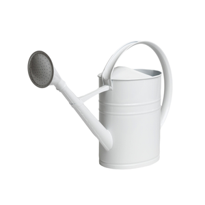 Bidon d'eau 10L métal arrosoir galvanisé fournitures outils pour extérieur intérieur jardinage plantes ovale avec poignée et bec verseur - Product Image 1