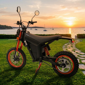 WISH01 2200W Mid Drive Motorcycle 48V 20.8Ah Long Range Hydraulic IP54 <b>Off</b> <b>Road</b> <b>E</b> Moped for Teenager Dual 500W Motors (1000W Pea - Product Image 1