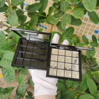Boîte à poudre en plastique Y019 avec fenêtre, emballage cosmétique pour palette de fards à paupières personnalisée de 16 teintes