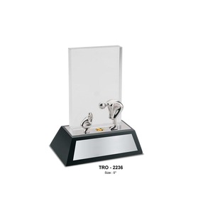 Trofeo inspirador de plata más vendido para modelos excepcionales que inspiran el crecimiento disponible para la venta - Product Image 1